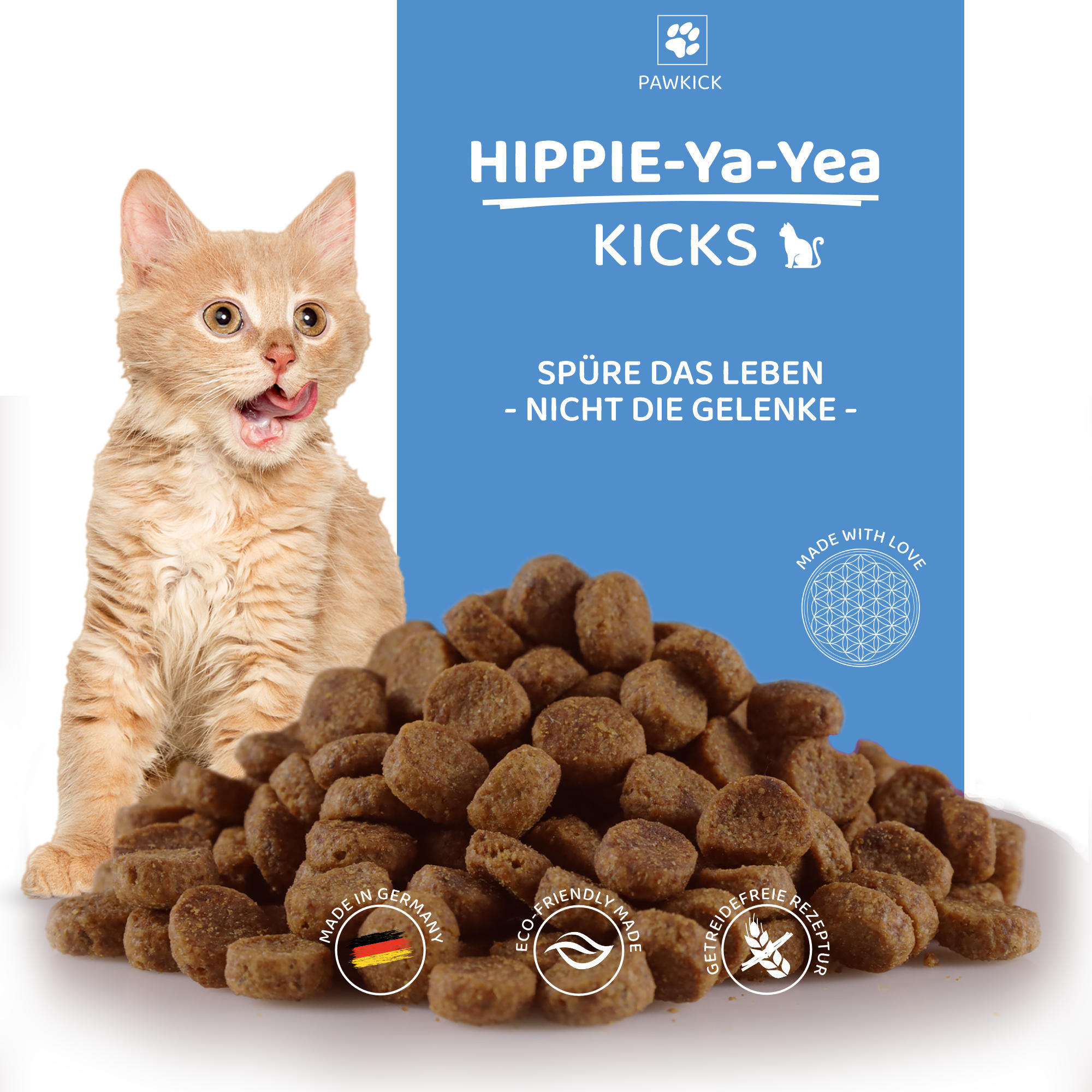 HIPPIE-Ya-YEA KICKS CAT