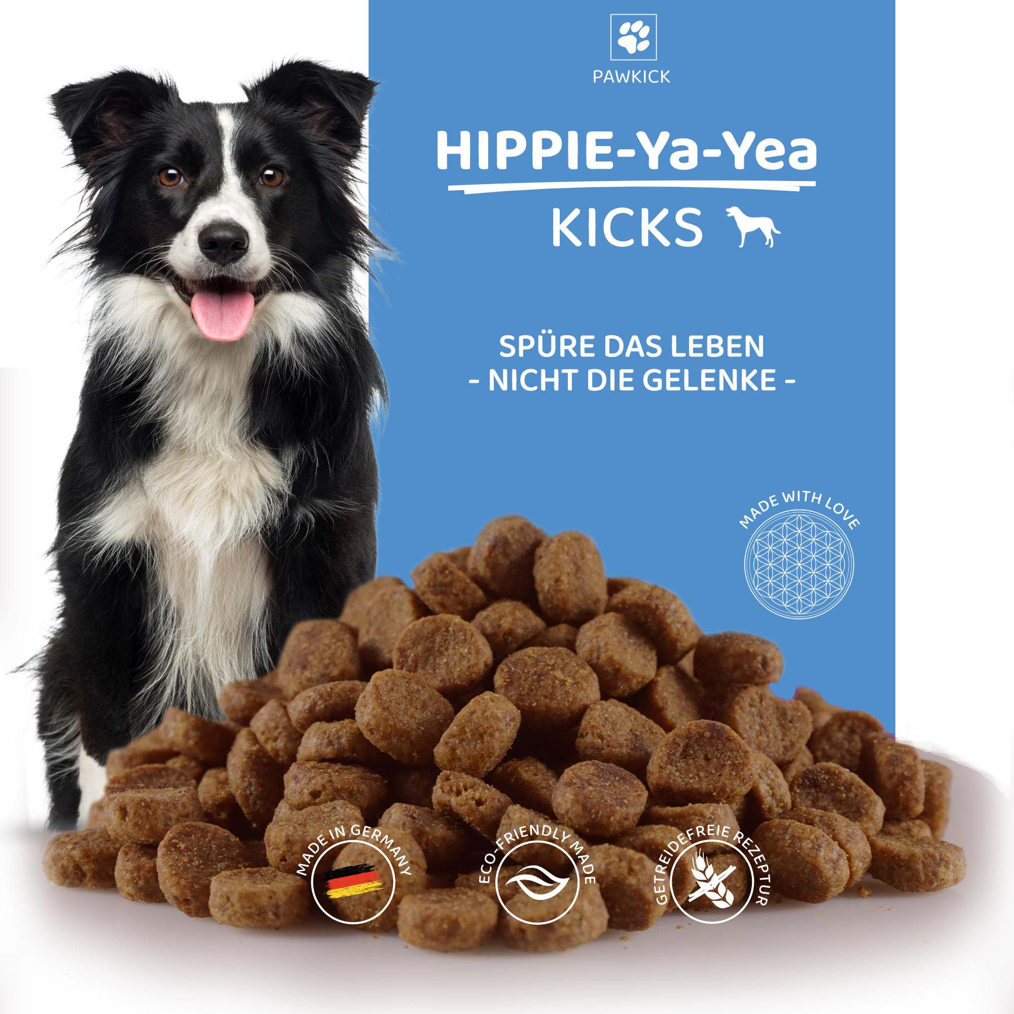 HIPPIE-Ya-YEA KICKS DOG