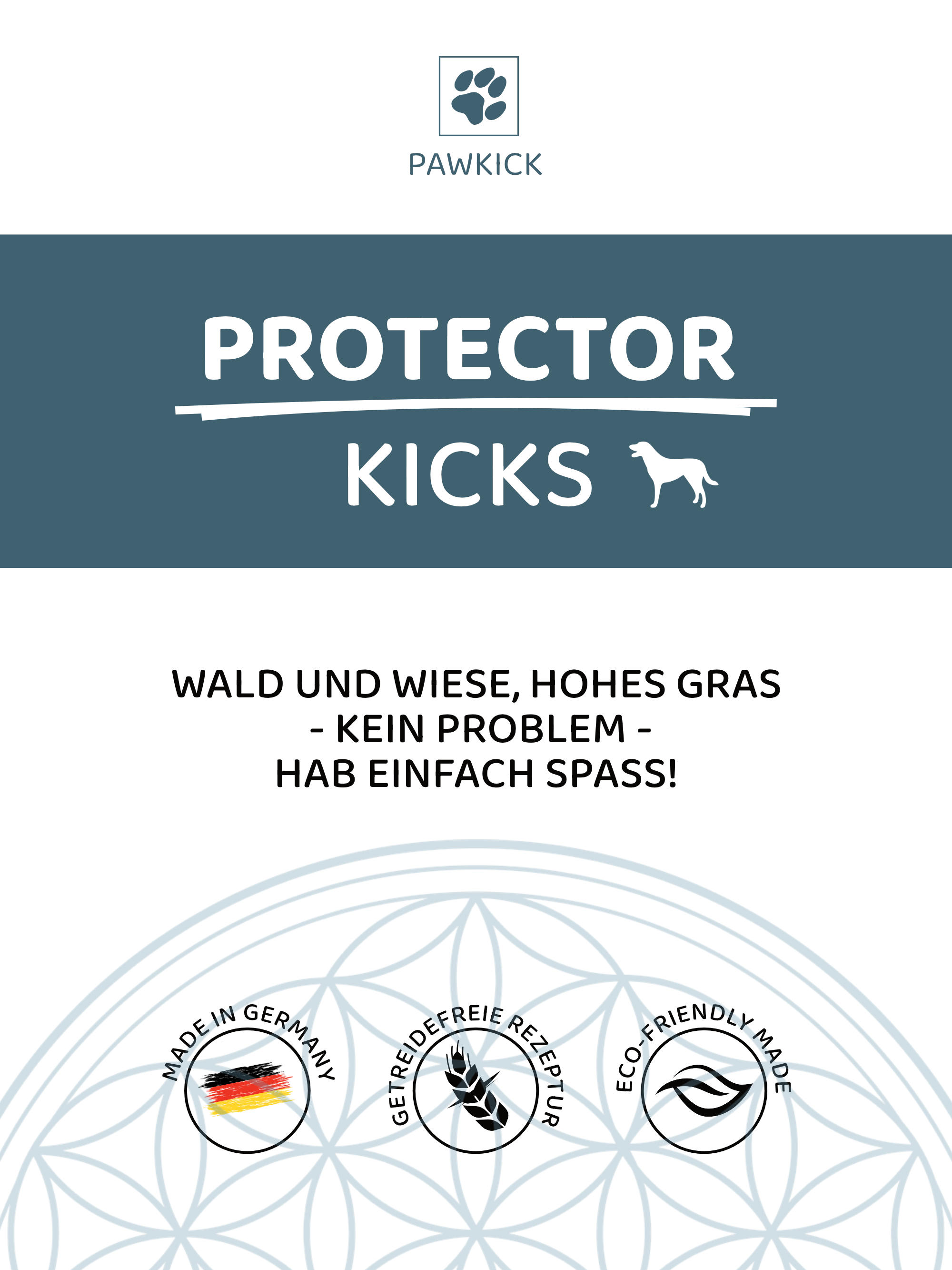 PROTECTOR-KICKS DOG